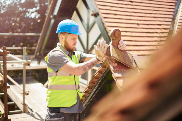 Roof Gutter Cleaning in Grant, AL